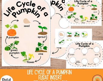 Pumpkin Life Cycle Flisat Insert, Fall Flisat Insert, Flisat Insert Printable, Flisat Insert Preschool and Toddler, Sensory Table