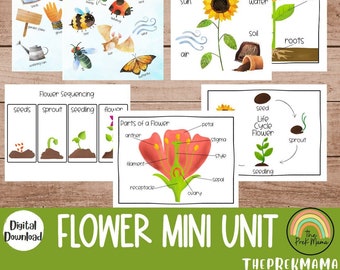 Learning About Flowers Mini Unit, Preschool Curriculum, Preschool Printable, Educational Posters, Preschool Learning, Learning about Plants