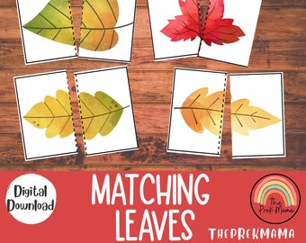 Matching Leaves, Fall Activity for Kids, Toddler Activity, Homeschool Resource, Montessori Materials, Sensory Table Printable, Preschool