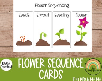 Flower Sequencing Cards, Preschool Curriculum, Preschool Printable, Educational Posters, Preschool Learning, Preschool Sequencing Cards