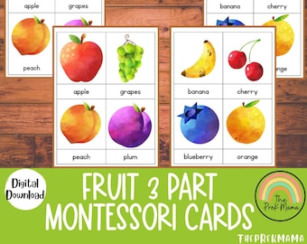 Montessori 3 Part Fruit Cards, Preschool Printable, Flashcards, Preschool Flashcards, Kindergarten, Homeschool Printable, Learning Resource