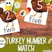 Turkeys thanksgiving number killed