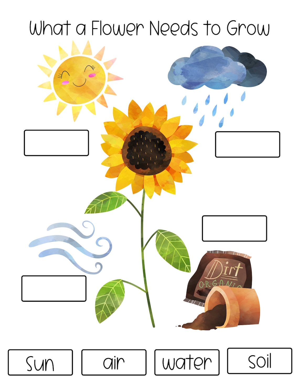 What a Flower Needs to Grow Preschool Curriculum Preschool Etsy