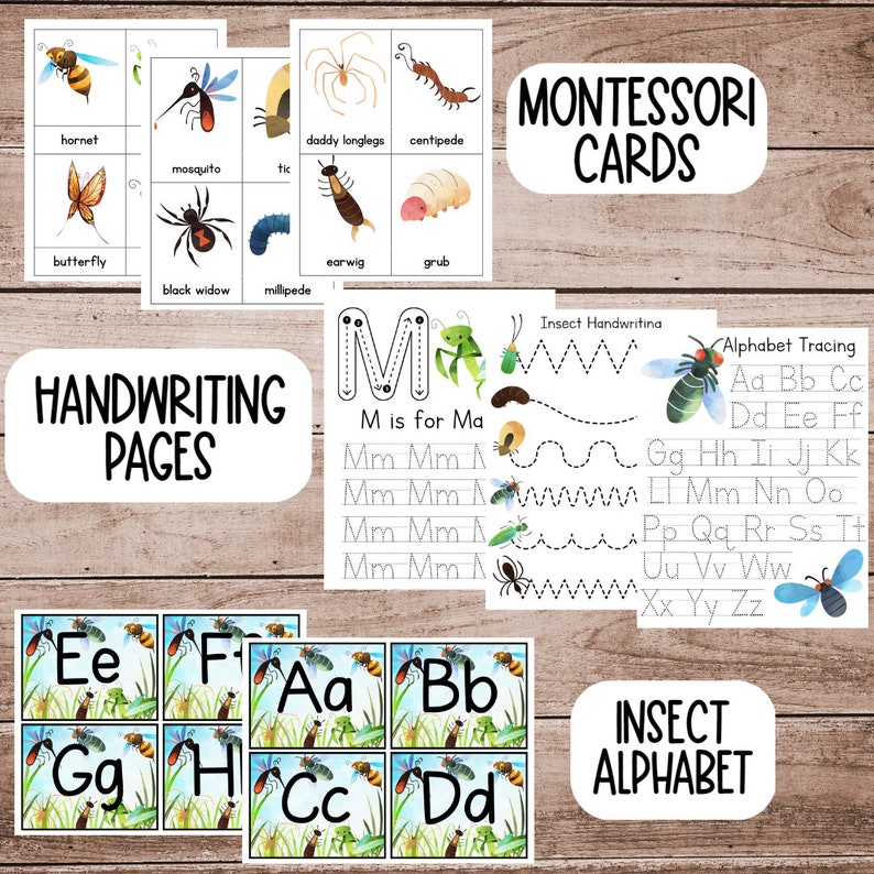May include: Montessori insect alphabet cards with uppercase letters and insect illustrations.  The cards are designed for handwriting practice and alphabet tracing.  The cards feature a variety of insects, including a butterfly, a hornet, a mosquito, a black widow, a daddy longlegs, a centipede, an earwig, and a grub.