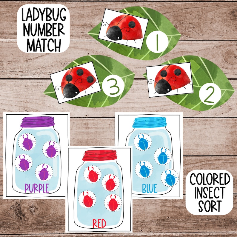 May include: Ladybug Number Match educational game for kids.  The game includes three ladybug cards with numbers 1, 2, and 3.  There are also three jars with different colored ladybugs inside: purple, red, and blue.