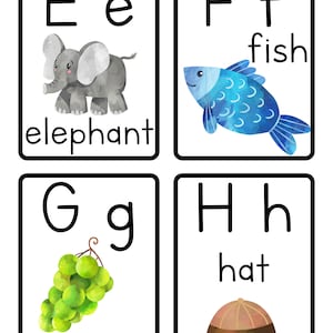 May include: Four alphabet flash cards with a letter, lowercase letter, picture, and word. The letters are E, F, G, and H. The pictures are an elephant, a fish, grapes, and a hat.