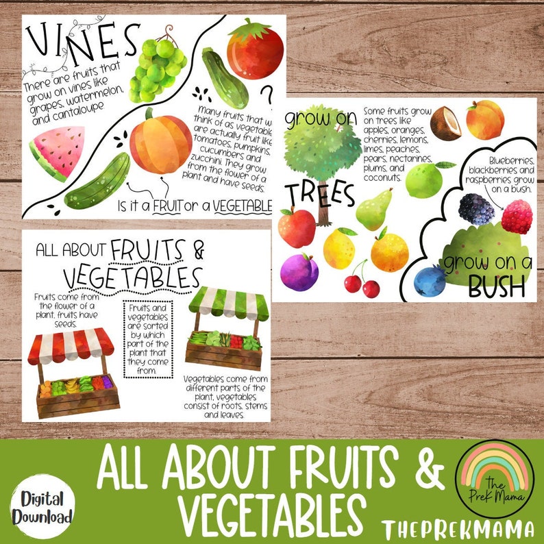 May include: Colorful educational chart with illustrations of fruits and vegetables. The chart explains where fruits and vegetables grow, such as vines, trees, and bushes. It also includes the text "All About Fruits & Vegetables".