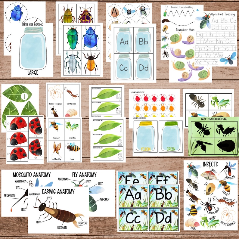 May include: A set of printable insect-themed educational worksheets for kids. The worksheets include activities like alphabet tracing, number recognition, insect anatomy, and shadow matching. The worksheets feature colorful illustrations of various insects, including ladybugs, butterflies, bees, and ants.