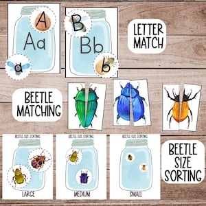 May include: A printable set of educational activity cards for kids featuring colorful illustrations of beetles and letters. The cards include a letter matching activity and a beetle size sorting activity. The cards are labeled "Beetle Matching" and "Beetle Size Sorting".