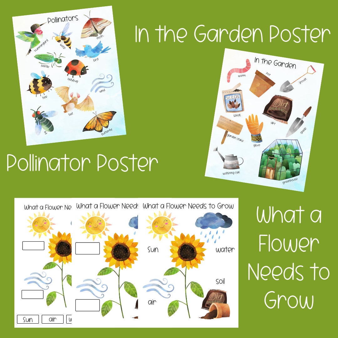 Learning About Flowers Mini Unit, Preschool Curriculum, Preschool ...