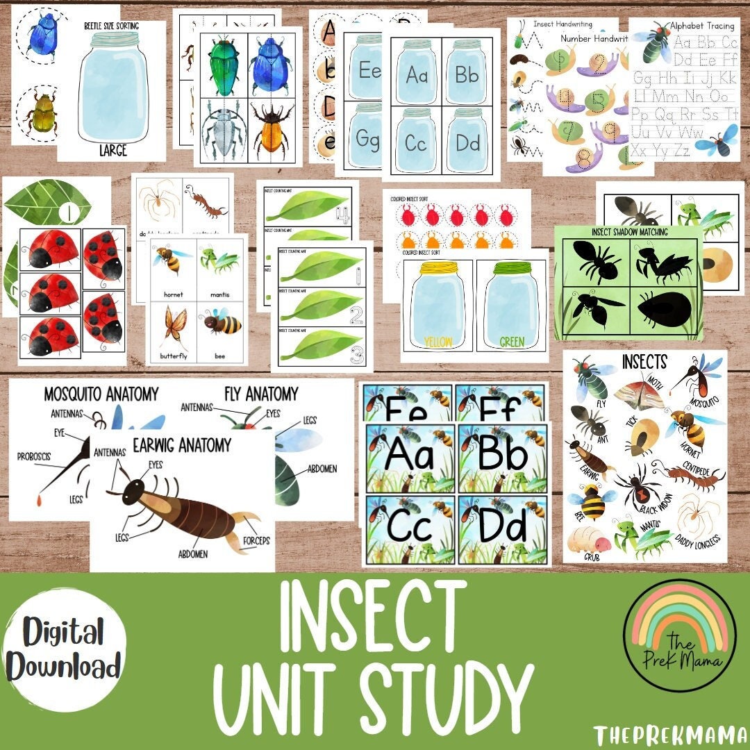 Insect Unit Study Preschool Curriculum Preschool Printable
