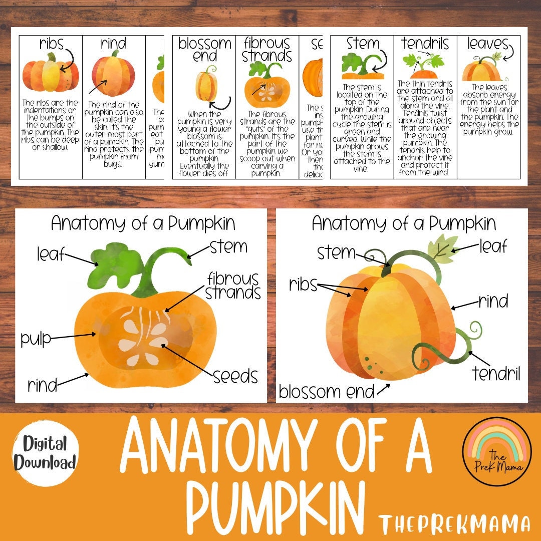 健康・医学 Pumpkin a629d7793823b91b06f6b93bb7ed89