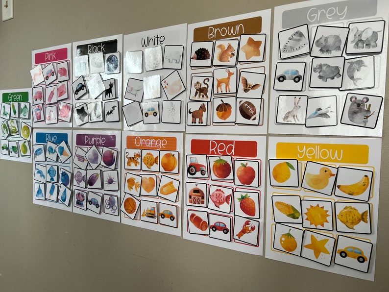 May include: A set of 10 color matching cards with various images on each card. The colors are pink, black, white, brown, grey, green, blue, purple, orange, red, and yellow. Each card has a title with the color name at the top.