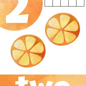 May include: A watercolor illustration of the number two, the word "two", and two orange slices. The number two is in a large orange circle. The orange slices are on a white background. There is a grid with two orange circles in the top left corner.