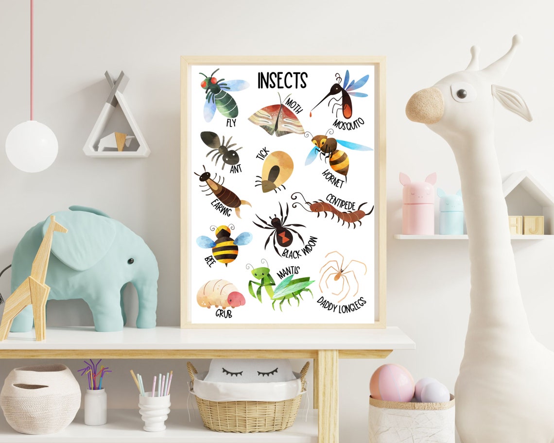 Insect Poster, Educational Poster, Weather Posters, Classroom Décor ...