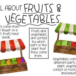May include: An illustrated image explaining the difference between fruits and vegetables. The image shows two market stalls, one with fruits and one with vegetables. The text reads: "ALL ABOUT FRUITS & VEGETABLES. Fruits come from the flower of a plant, fruits have seeds. Fruits and vegetables are sorted by which part of the plant that they come from. Vegetables come from different parts of the plant, vegetables consist of roots, stems and leaves."