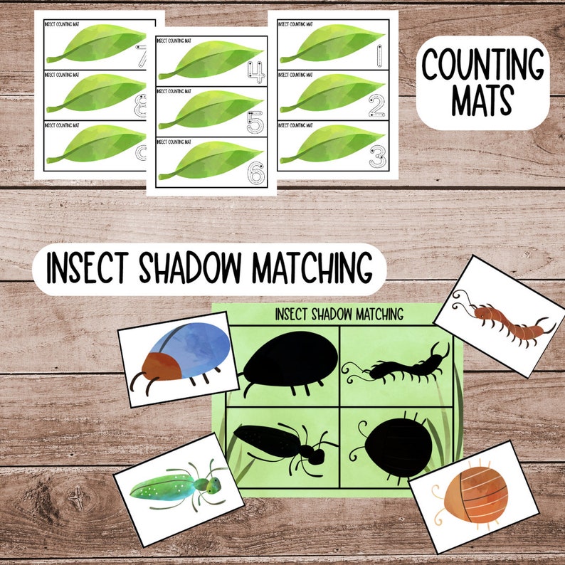 May include: A set of printable insect shadow matching cards. The cards feature colorful illustrations of insects, including a ladybug, a centipede, a beetle, and a dragonfly. The cards are designed to help children learn about insects and their shadows.