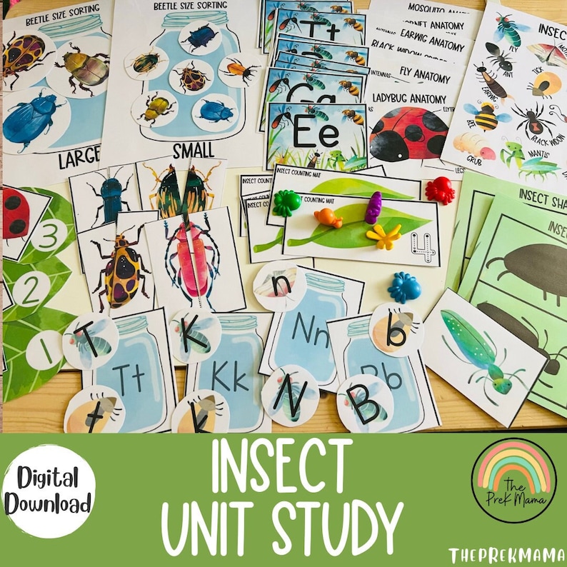 May include: A colorful insect unit study for preschoolers. The set includes insect anatomy diagrams, counting mats, sorting activities, and letter matching games. The images feature ladybugs, butterflies, ants, and other insects.