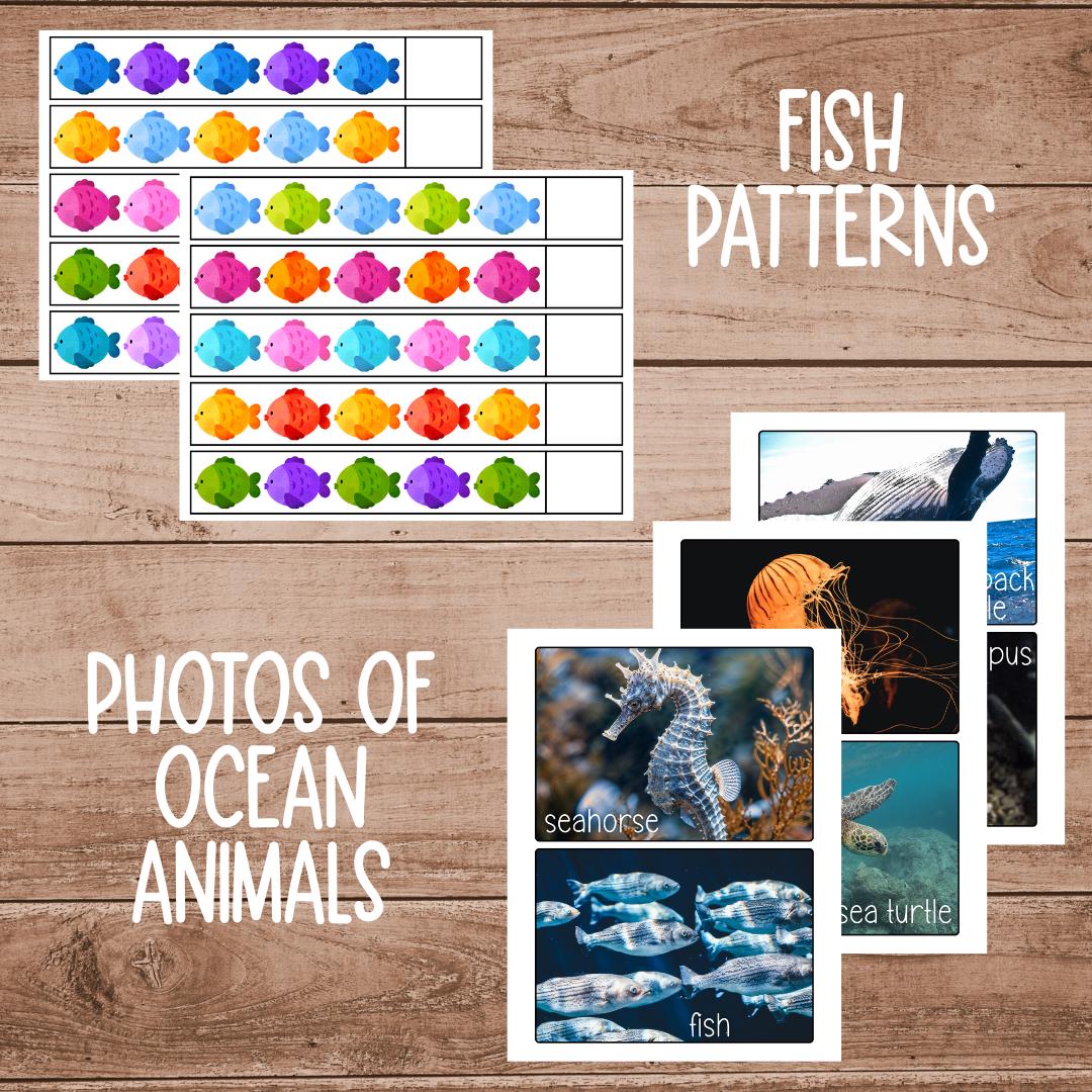 Ocean Animals Unit Study, Homeschool Learning Materials, Educational ...