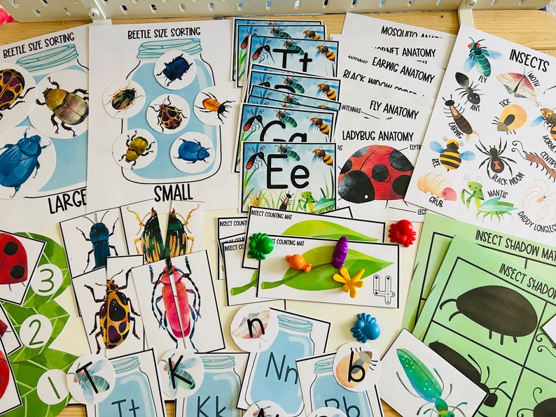 May include: A set of educational insect-themed learning materials for children. The set includes cards with insect anatomy diagrams, insect shadow matching cards, counting mats, and letter cards with insect illustrations. The cards are printed on white cardstock with colorful illustrations.