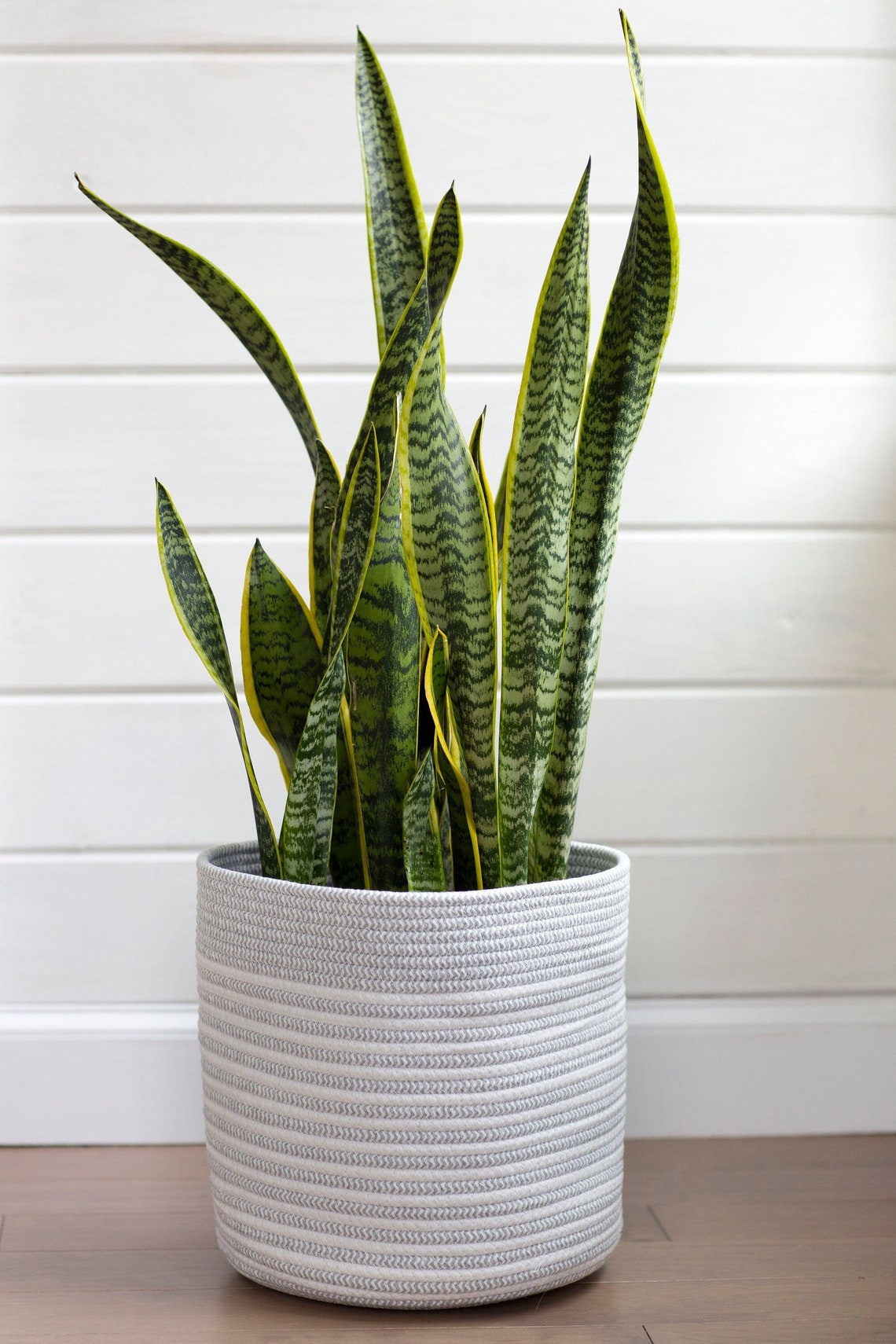 Plant Basket Large Indoor Plant Pot Woven Rope Basket Etsy