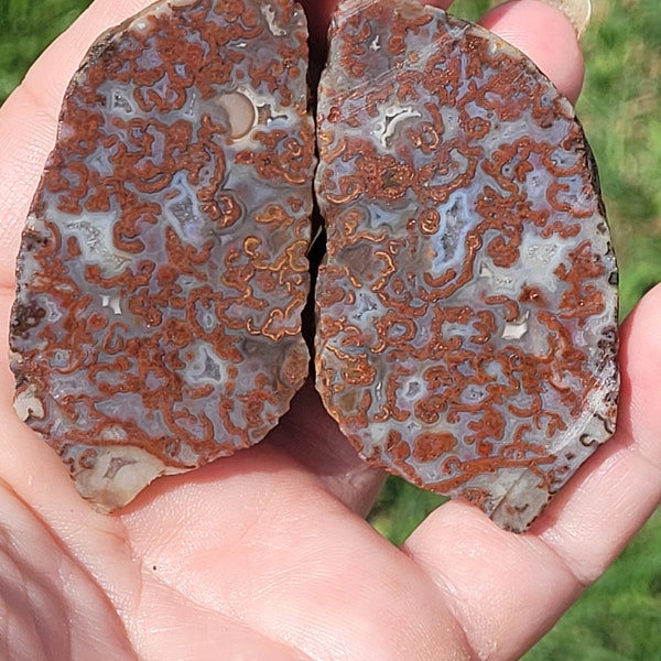 Stunning SLICED FRAGMENTED MEMBRANE Lake Superior  Agate plus I always include extra goodies