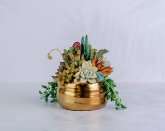 Brushed Gold Bowl Succulent Arrangement Planter: Available in 6" and 8" Diameters