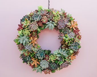 Succulent Wreath Trimmed with Living Colorful Succulents for Front Door Entry, Fall Home Decorating, Succulent Gift