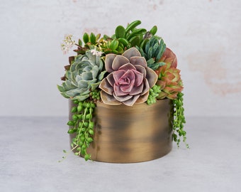 Bronze Bowl Living Succulent Arrangement Centerpiece