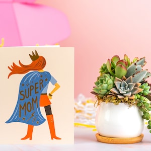 Super Mom Mother's Day Succulent Arrangement Gift Box Care Package for Mom, Sister, or Friend image 1