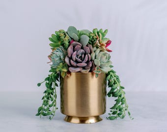 Small Gold Metal Footed Succulent Arrangement