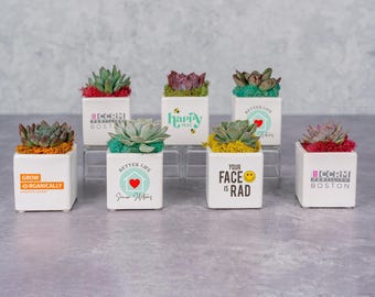 Custom Logo Living Succulent Planter: Branded Corporate Gift