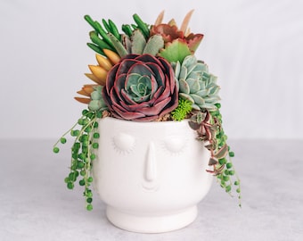 Goddess Succulent Arrangement: Living Succulents in White Ceramic Planter