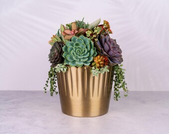 Succulent Arrangement in Large Gold Metal Planter