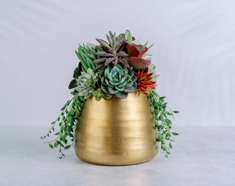 Brushed Gold Living Succulent Arrangement Planter: Anniversary, Mother's Day, Celebration Gift