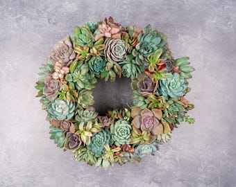 Pastel Living Succulent Wreath: Front Door Decor, Eco-Friendly Gift