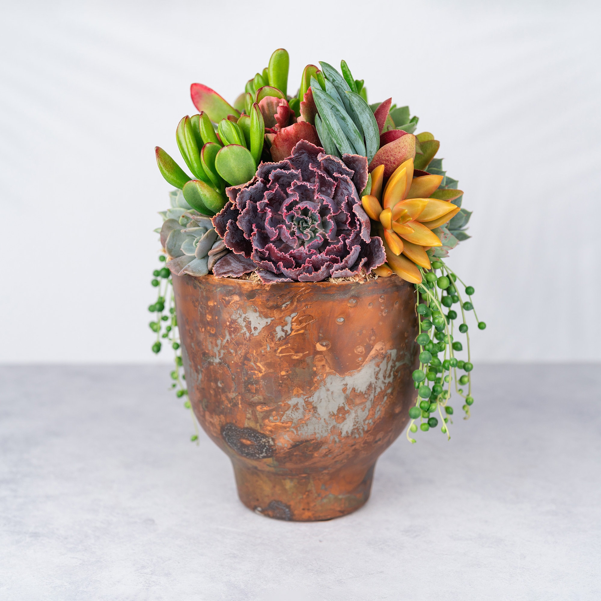 Copper Compote Succulent Arrangement