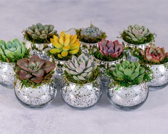 Succulent Favors, Silver Mercury Glass Globes, Wedding Event Bulk Gifts with Optional Personalization