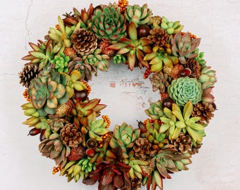 Fall Succulent Door Wreath for Thanksgiving Halloween  | Natural Autumn Home Decor