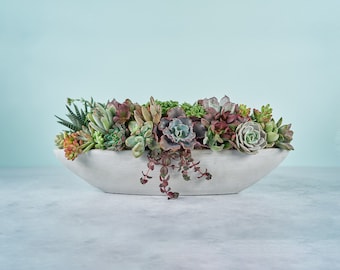 Long Cement Boat Succulent Arrangement Planter: Modern Living Succulent Gift or Centerpiece for Weddings & Events