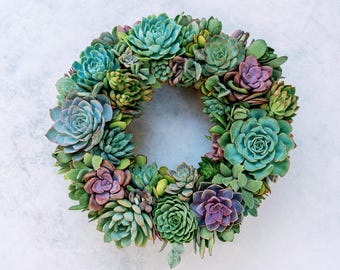 Living Succulent Wreath, Blue Purple Green, Front Door Decor