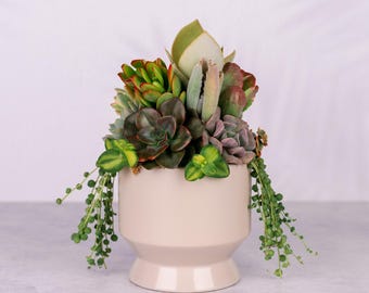 Succulent Arrangement in Tan Footed Ceramic Planter