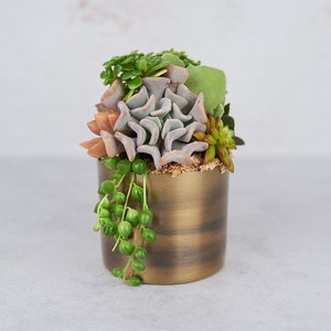 May include: A small succulent arrangement in a brass pot. The succulents are a variety of green and pink hues.