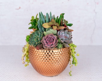 Copper Honeycomb Succulent Arrangement Centerpiece Living Gift