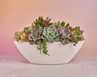 White Boat Succulent Planter Arrangement : Long Ceramic Living Succulent Centerpiece for Weddings & Events or Succulent Gift