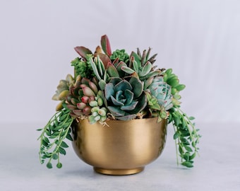 Small Gold Metal Bowl Succulent Arrangement