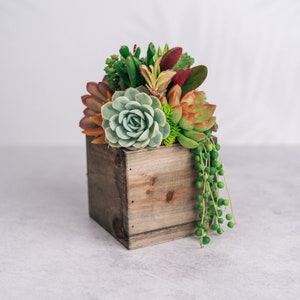 May include: A wooden box planter filled with a variety of succulents, including green, red, and orange varieties. The planter has a rustic, weathered look.