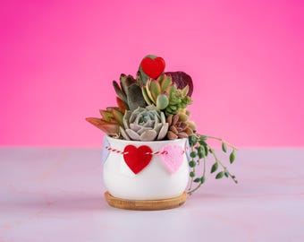 Mini Succulent Arrangement: Heart Garland, Pink Gift Box Option