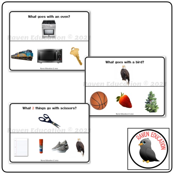 ABLLS-R Aligned B8 Sort Non Identical Items Task (Instant Download) 