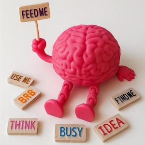 Funny Brain Desk Buddy   Pink Brain Figurine with Interchangeable Signs